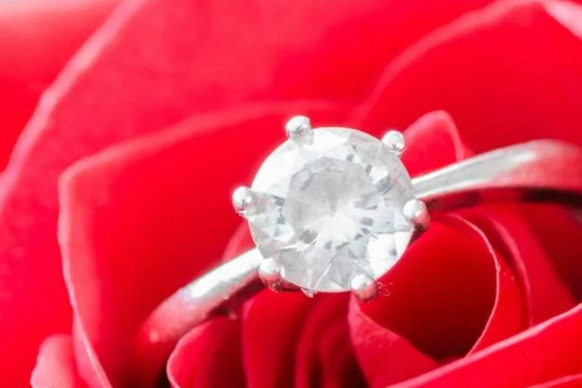 Solitaire ring placed on the red rose
