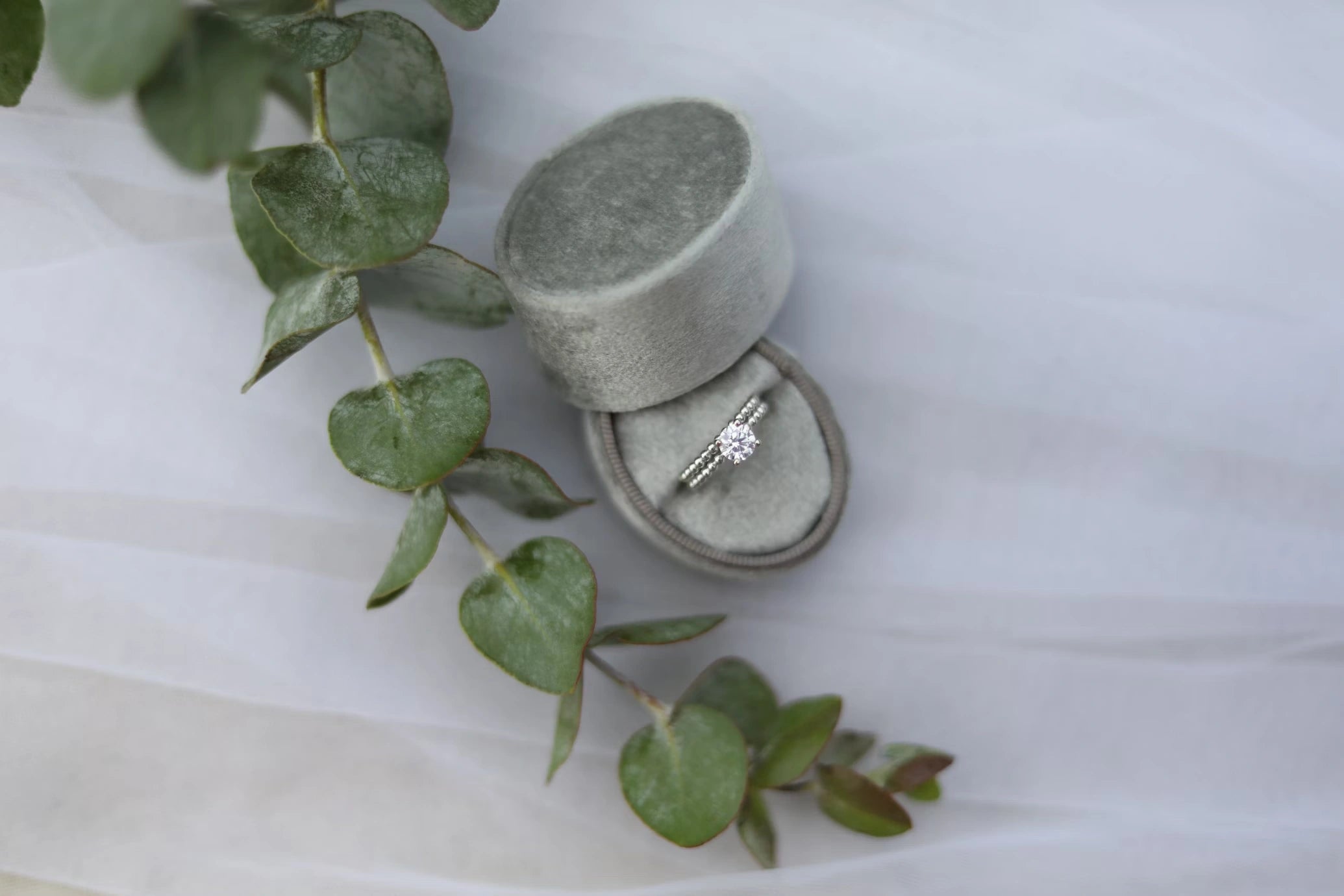 Engagement ring placed inside the opened ring box and placed besides the leaves branch