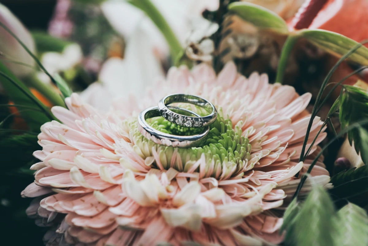 Two stunning silver-diamond engagement rings are placed on the pink flower
