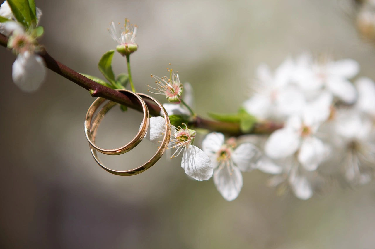 Two engagement rings placed in a branch of flower one by one