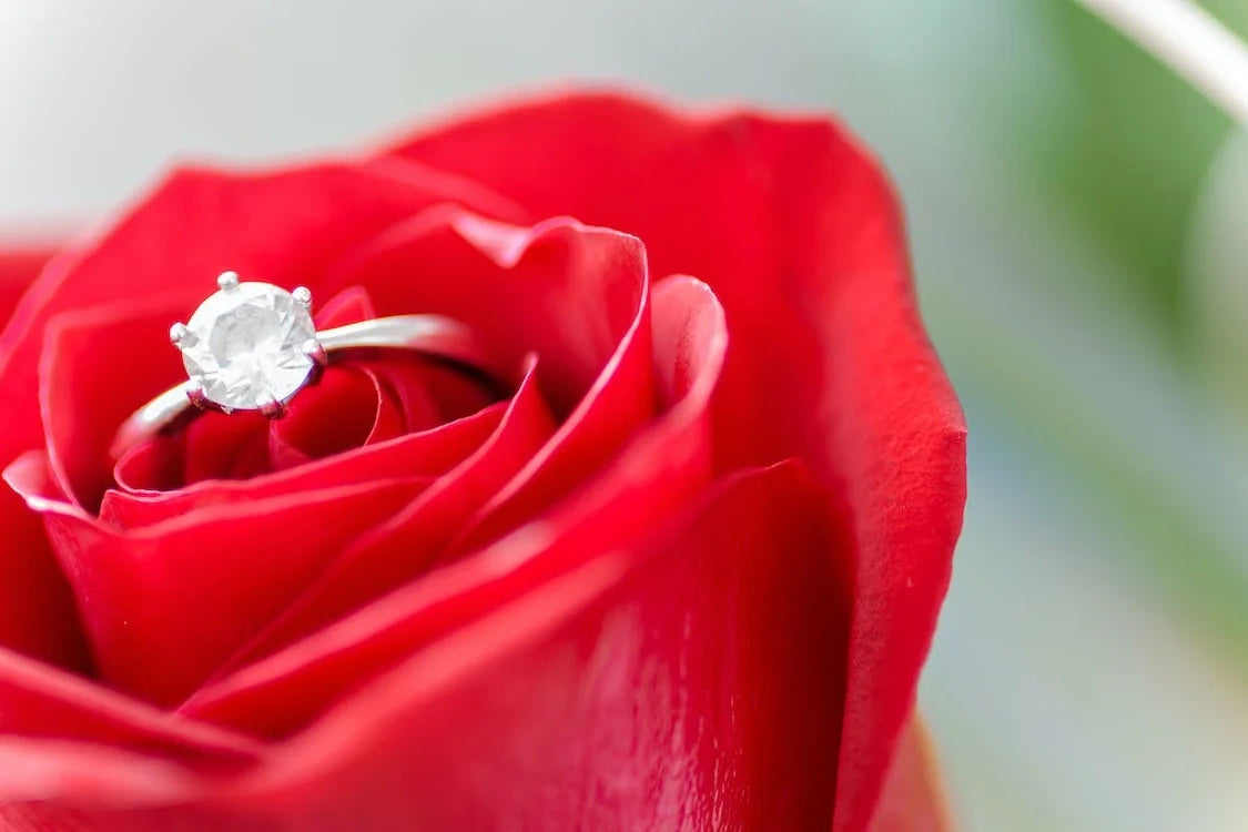 A beautiful white stoned Engagement ring place in middle of the glamorous red rose petals