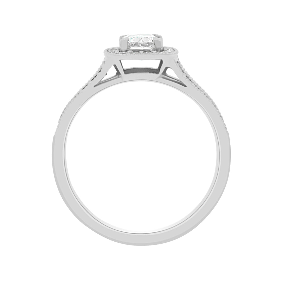 Cushion Halo Diamond Ring in white gold in an upright position