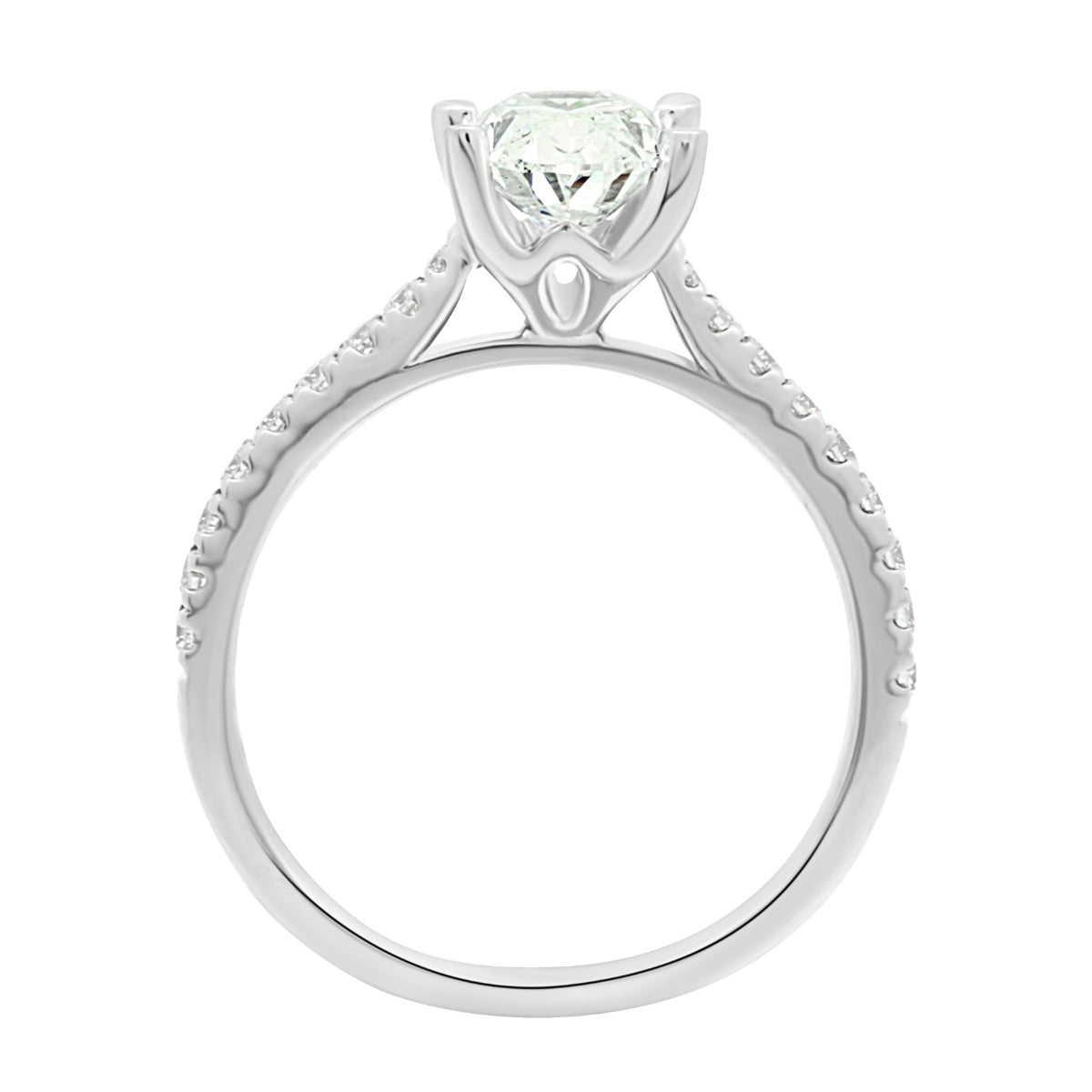 Oval cut Diamond with diamond Shoulders Geri Oval DS in White Gold Band