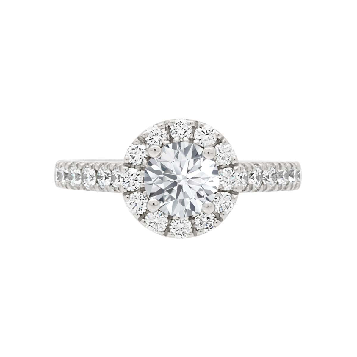 Halo Engagement Ring Diamond Band in white gold laying flat