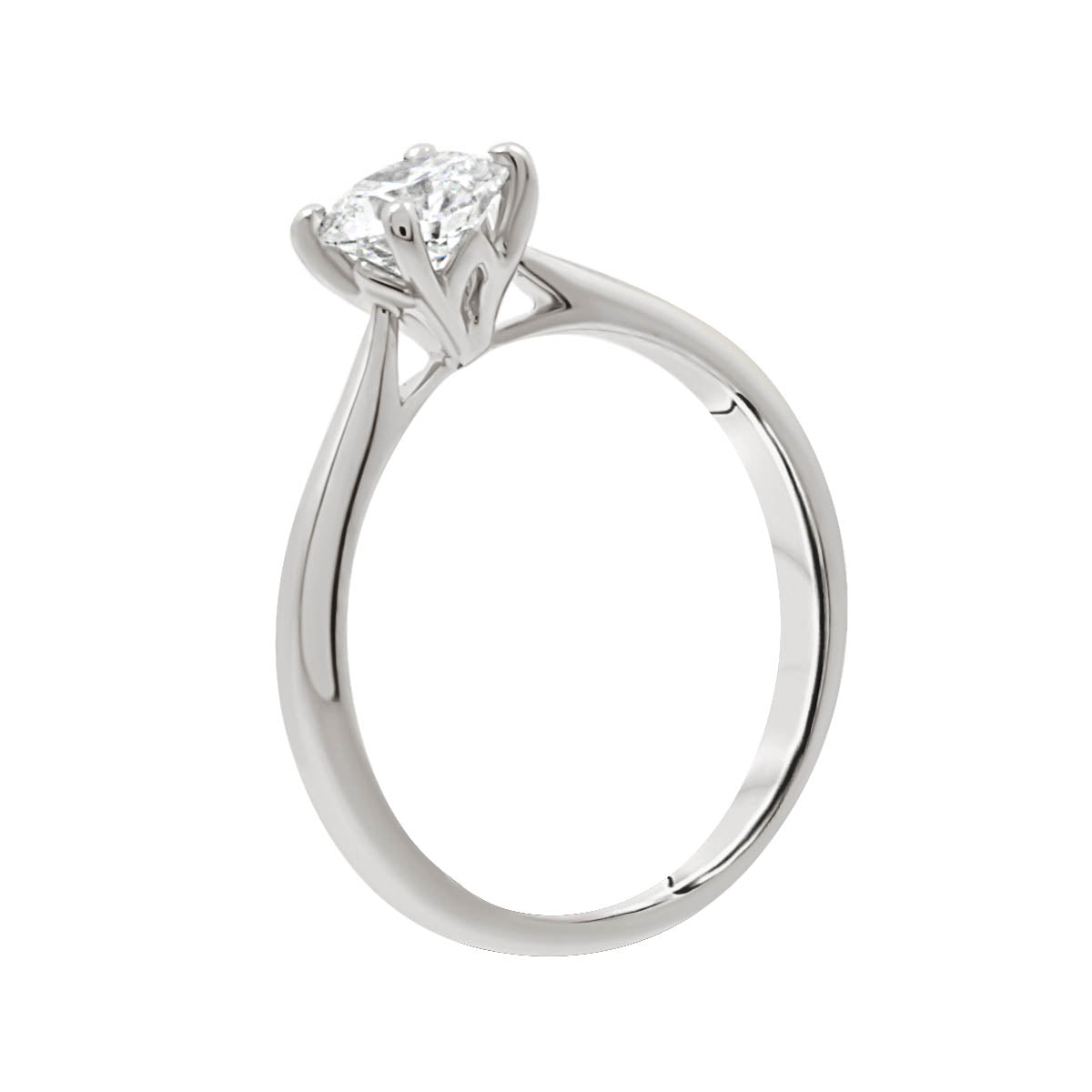 Round Cut Hidden Diamond Detail Solitaire Engagement Ring with Platinum Band - 'Geri'