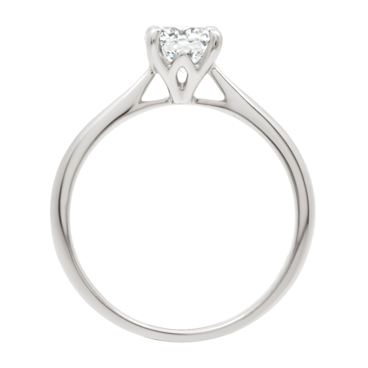 Hidden Diamond Detail engagement ring in white gold standing upright