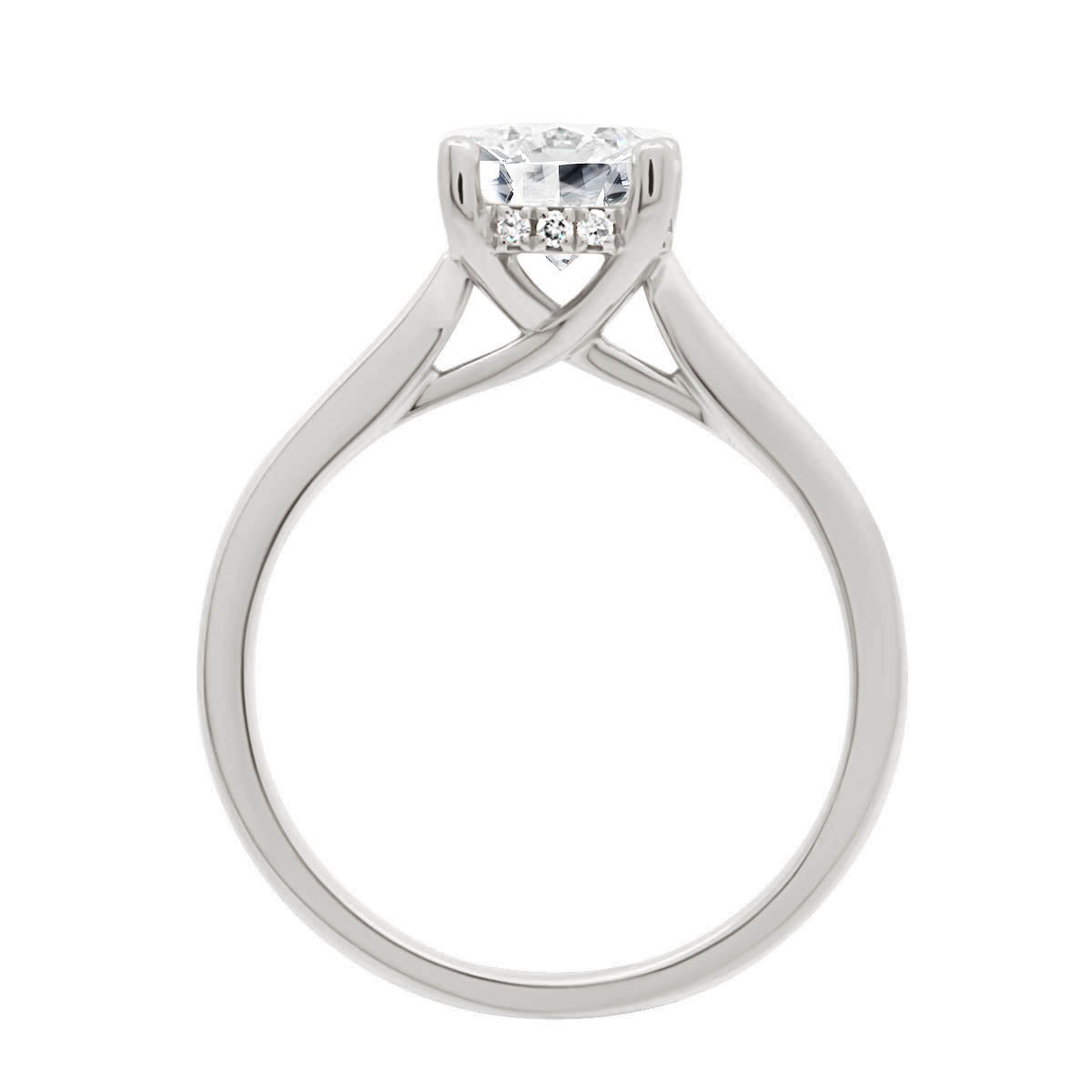 Round Cut Hidden Halo Diamond Detail Solitaire Engagement Ring with Platinum Band - 'Hillary'