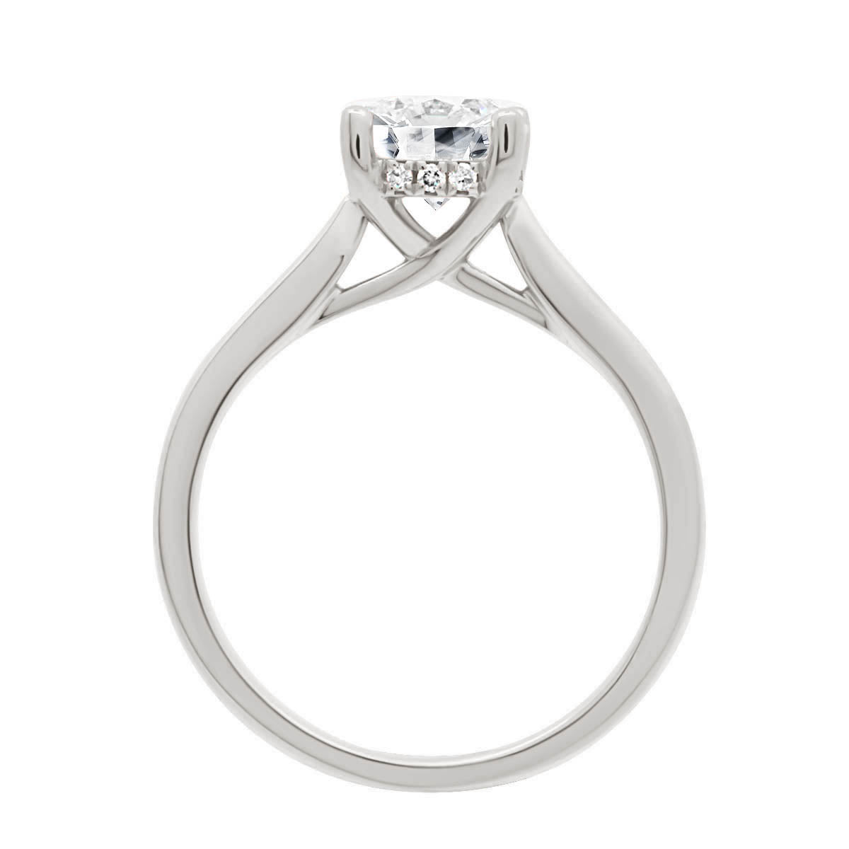 Hidden Halo Solitaire Engagement Ring in white gold in upright position