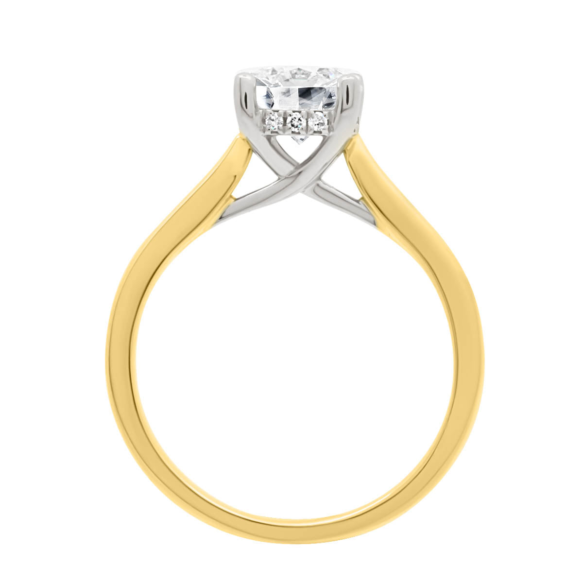 Hidden Halo Solitaire Engagement Ring in yellow gold in upright position