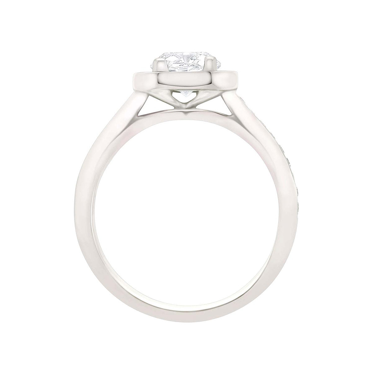 Pavé Halo Diamond Ring in White Gold in an upright position with white background