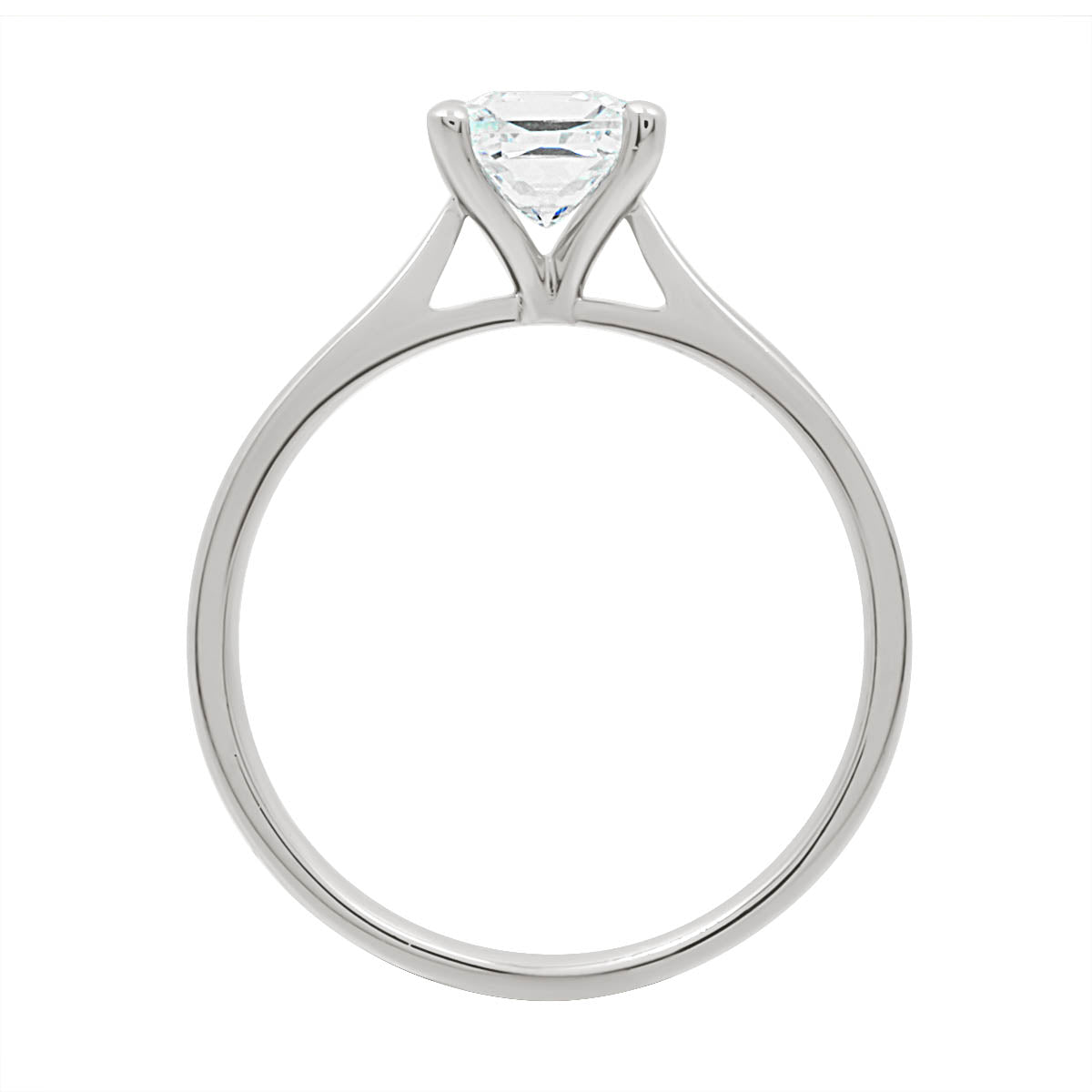 Princess Cut Diamond Ring in white gold in an upright position
