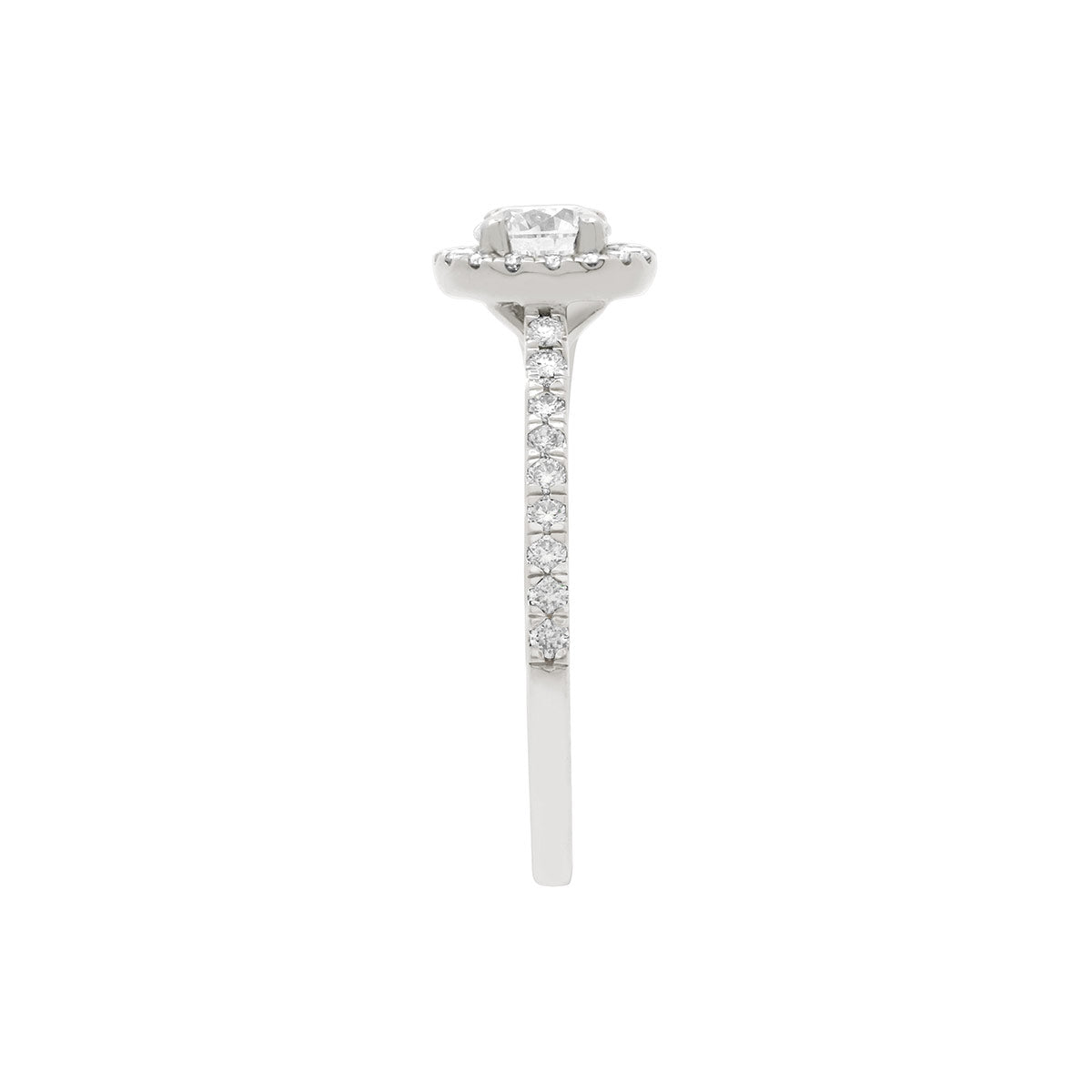 Round Halo Diamond Ring in white gold standing side view with a white background