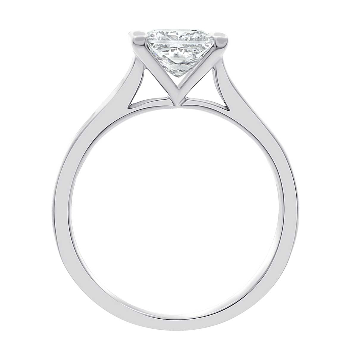 Princess Cut Diamond Engagement Ring with Platinum Wide Band - 'Paula'