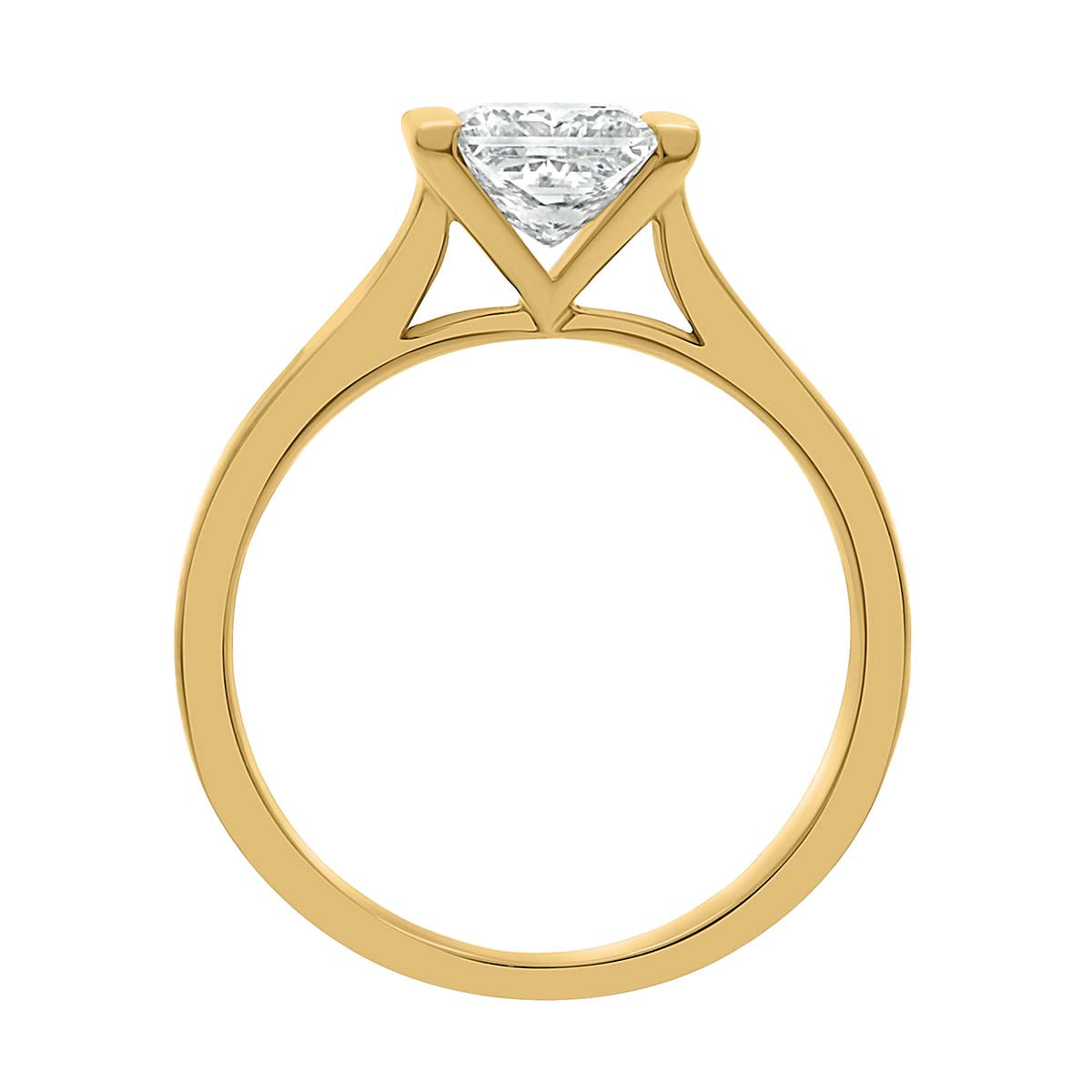 Princess Cut Diamond Engagement Ring with Yellow Gold Wide Band - 'Paula'